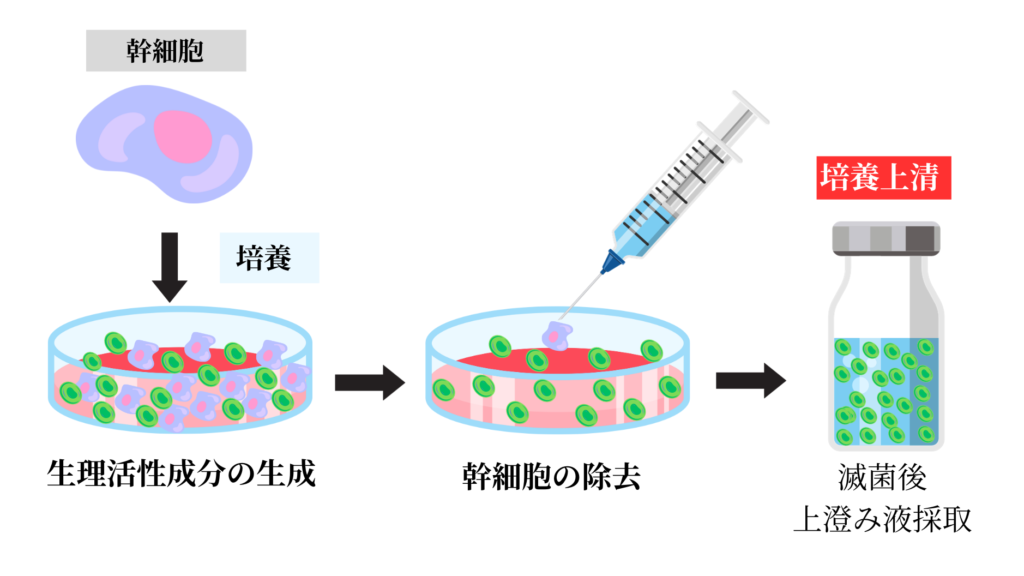 幹細胞培養上清液とは
